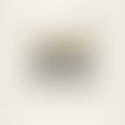 THE STRUGGLE IS REAL