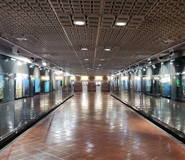 Exposition Monaco