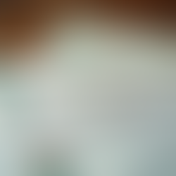 Maximizing Returns What You Need to Know About Investing in Mexican Government Bonds