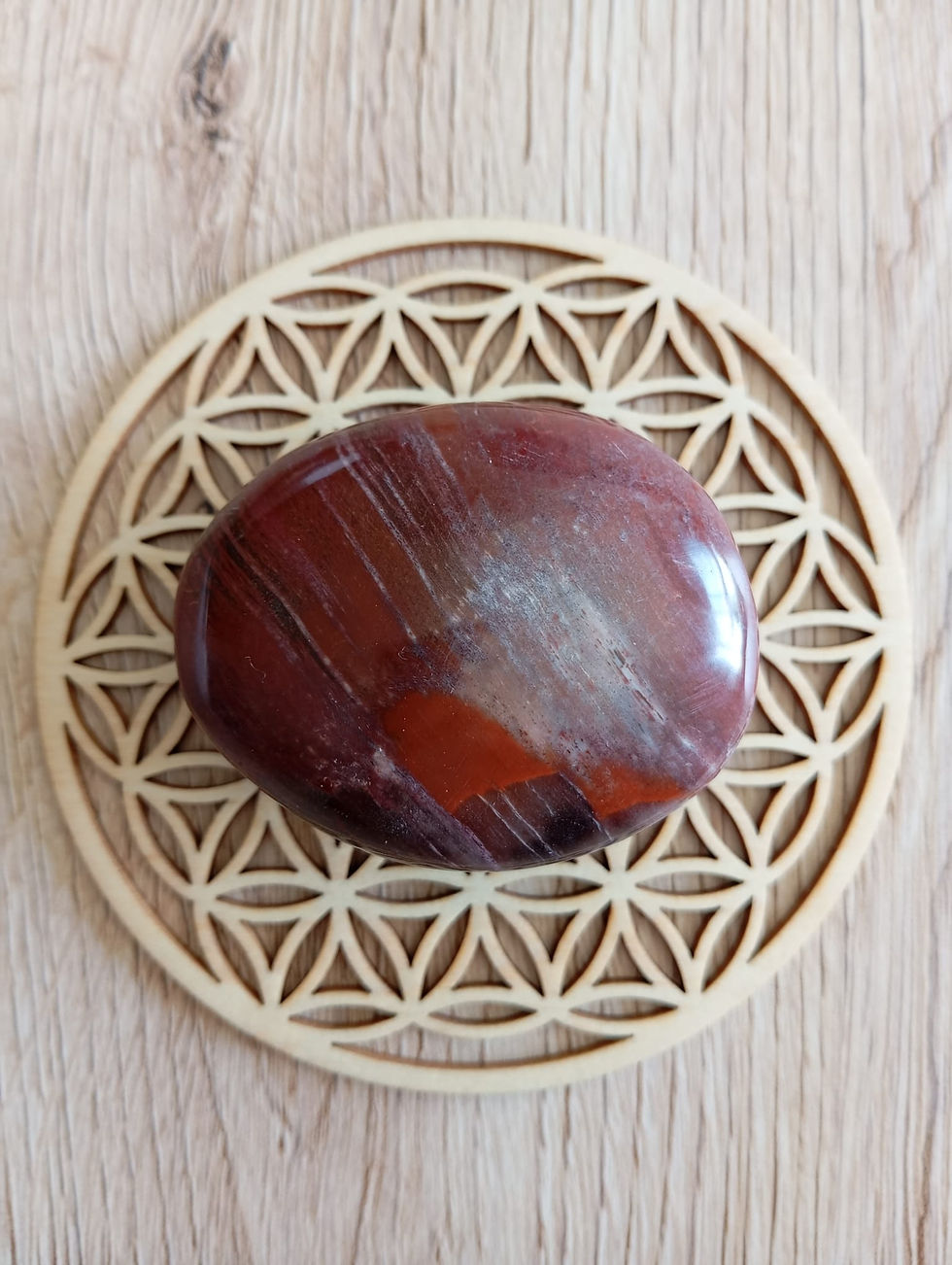 Miniature : Galet Bois fossilisé - De 101g à 150g