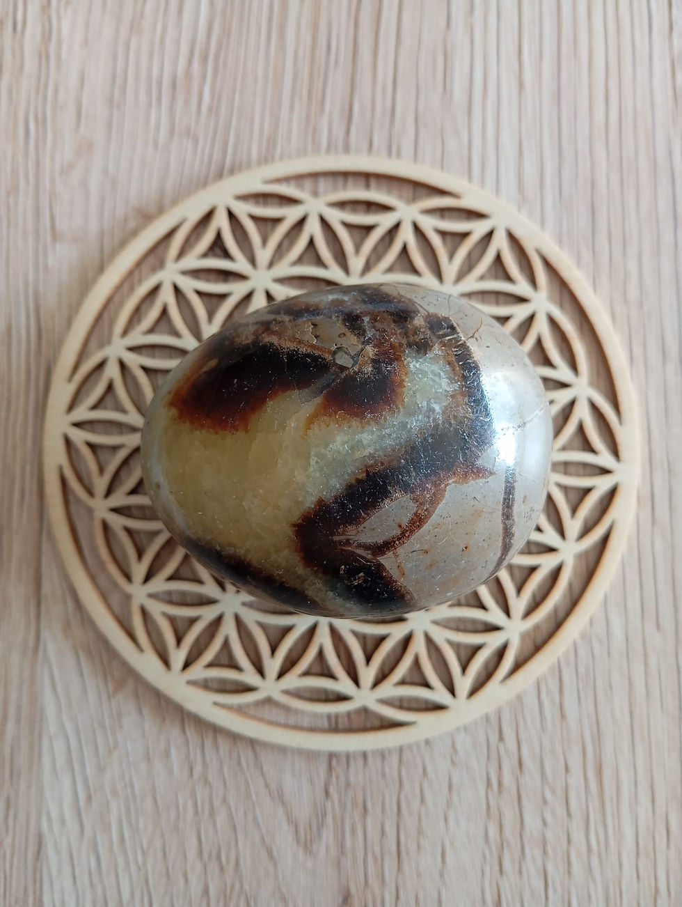 Miniature : Galet Septaria - De 101g à 150g