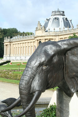 African Museum & Elephant