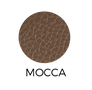MOCCA.png