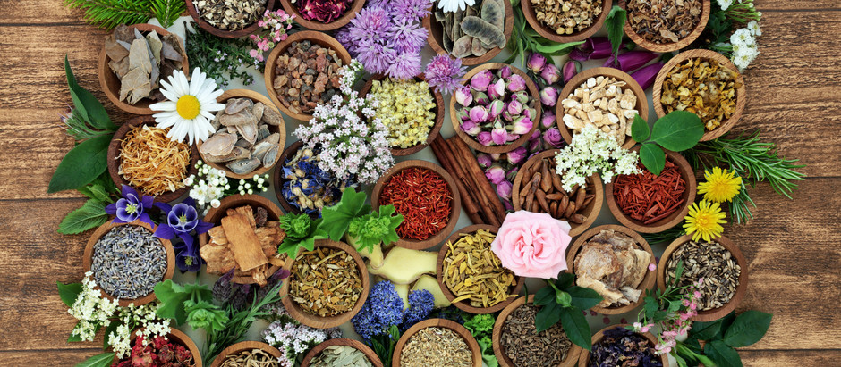 O que é naturopatia