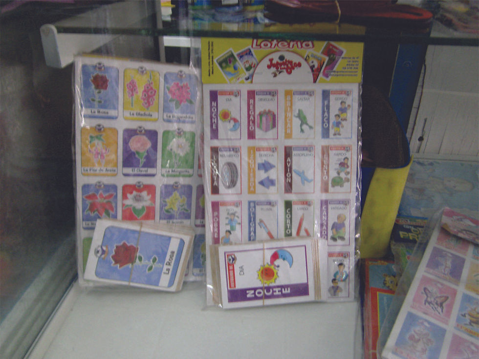 Material didactico15.jpg