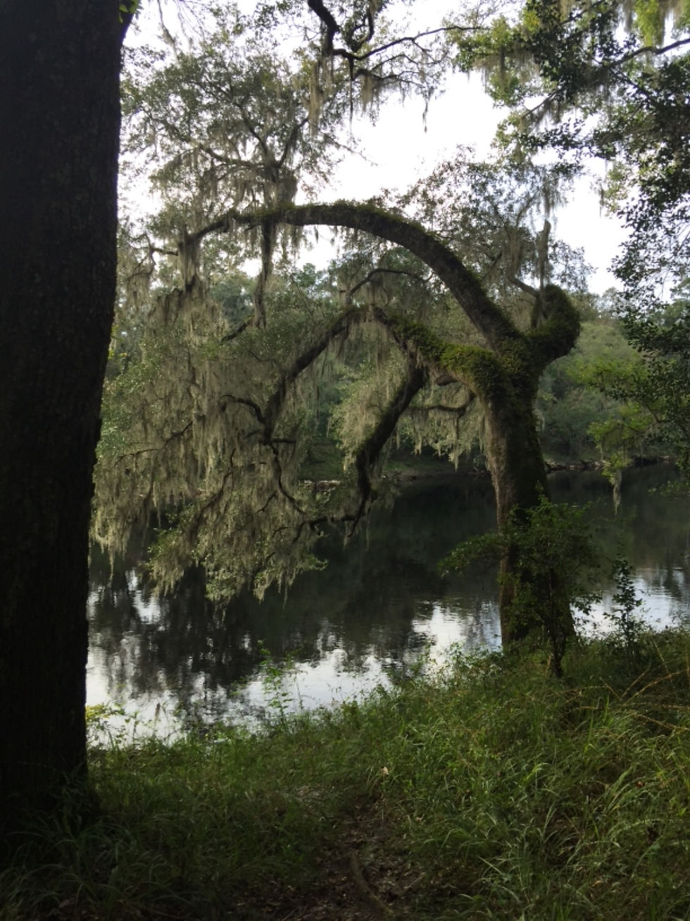 Suwannee River