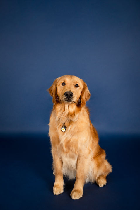 Fergus + Stella-3.jpg