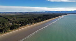 Nelson's Rabbit Island: pristine beaches, serene sea, snow-kissed mountains, and a touch of life under a clear blue sky.