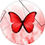 Thumbnail: Butterfly Round  Backdrop