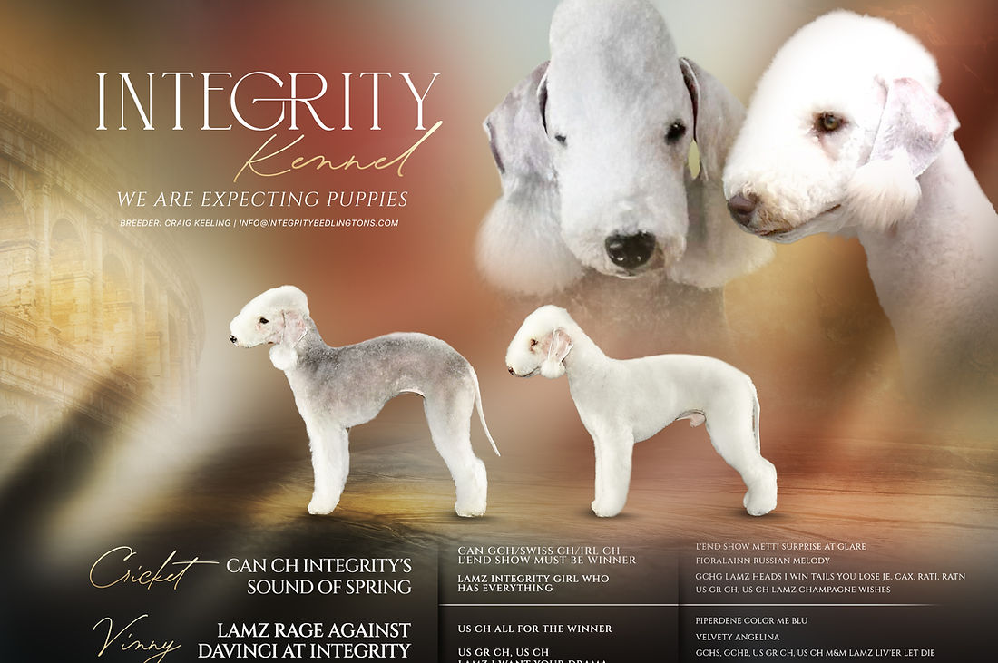 cricket_vinny litter.jpg