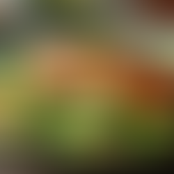 Delicious Recipes for Injury Recovery