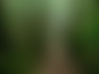 Discovering Nicaraguan Culture: Beyond the Running Trails