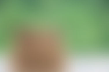 Vision Requires Patience