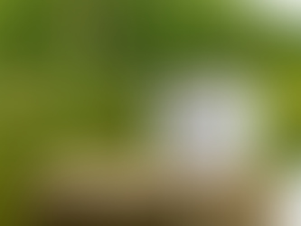 A Wonder-Filled Walk: Take the Limits Off