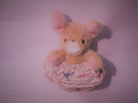 オープンマウスのうさぎちゃん