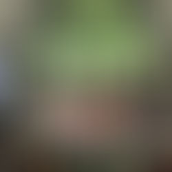 3월22일 주일예배