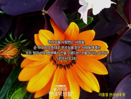 역대기하 16장-17장_8월11일 화요일