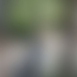 4월19일 주일예배후, 교회청소를 위해 함께 힘을 썼습니다.