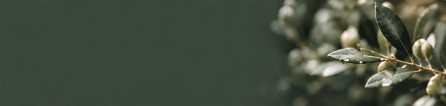 3228124A-26B9-4852-B07B-B9F5141FC5C0.PNG