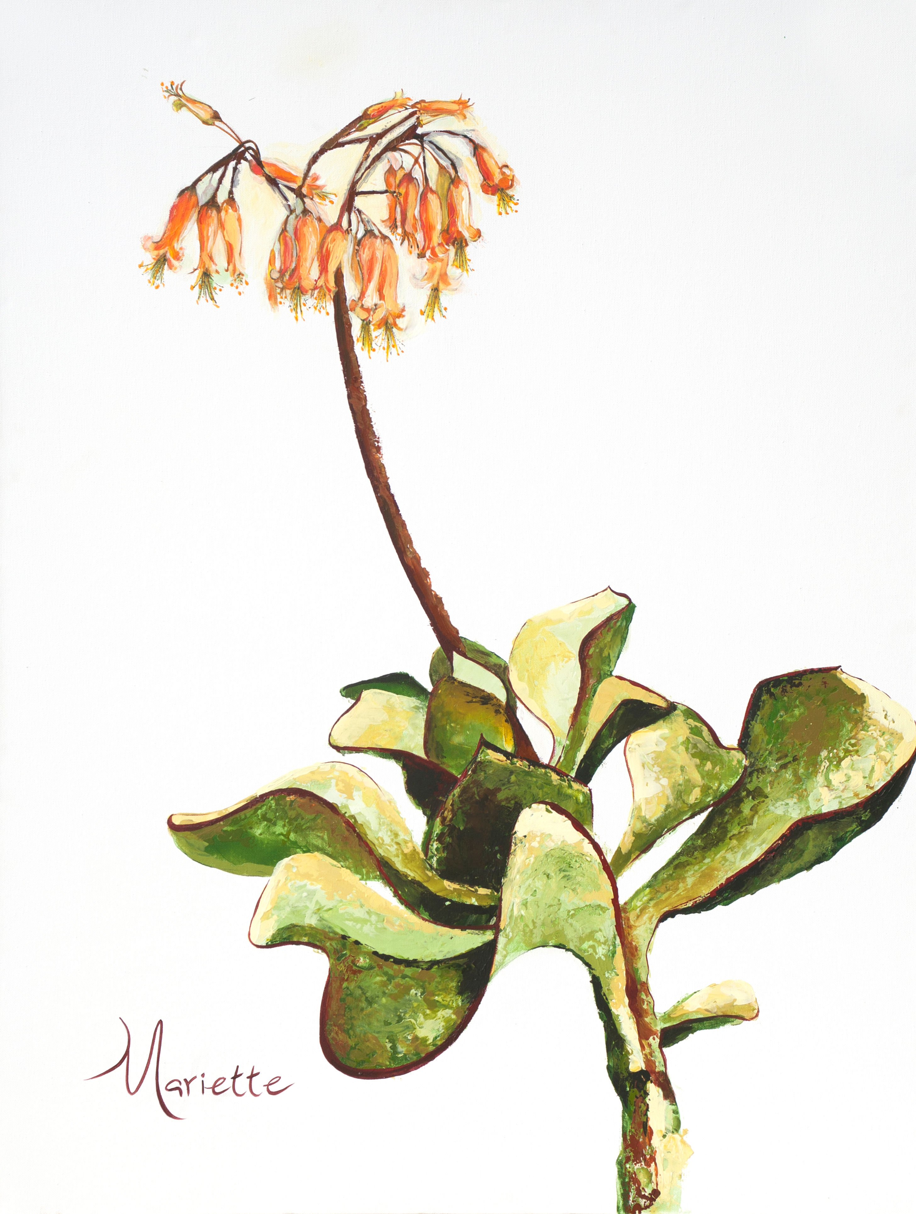 Tubular Bells in August