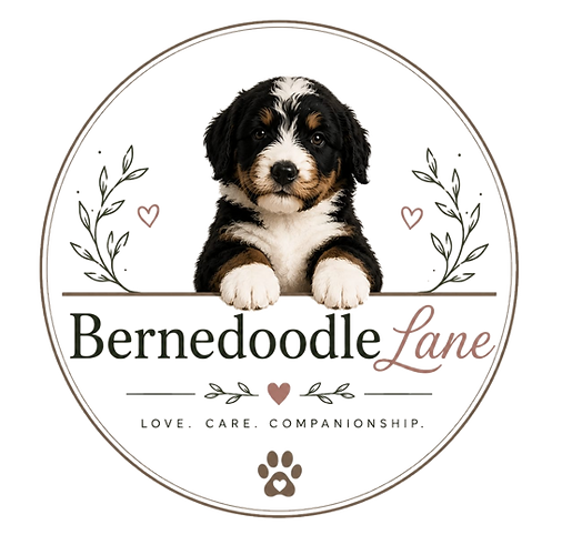 BernedoodleLane Logo_edited.png