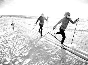 NORD-nique: The Classic Edit