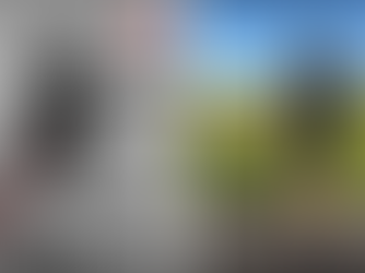 NORD-nique: Push Like A Pro With BSF PRO Willson Moore.