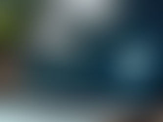 Essential Guide to Secure Online Shopping Practices