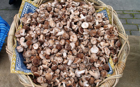 Lane County Farmers Market Recipes
