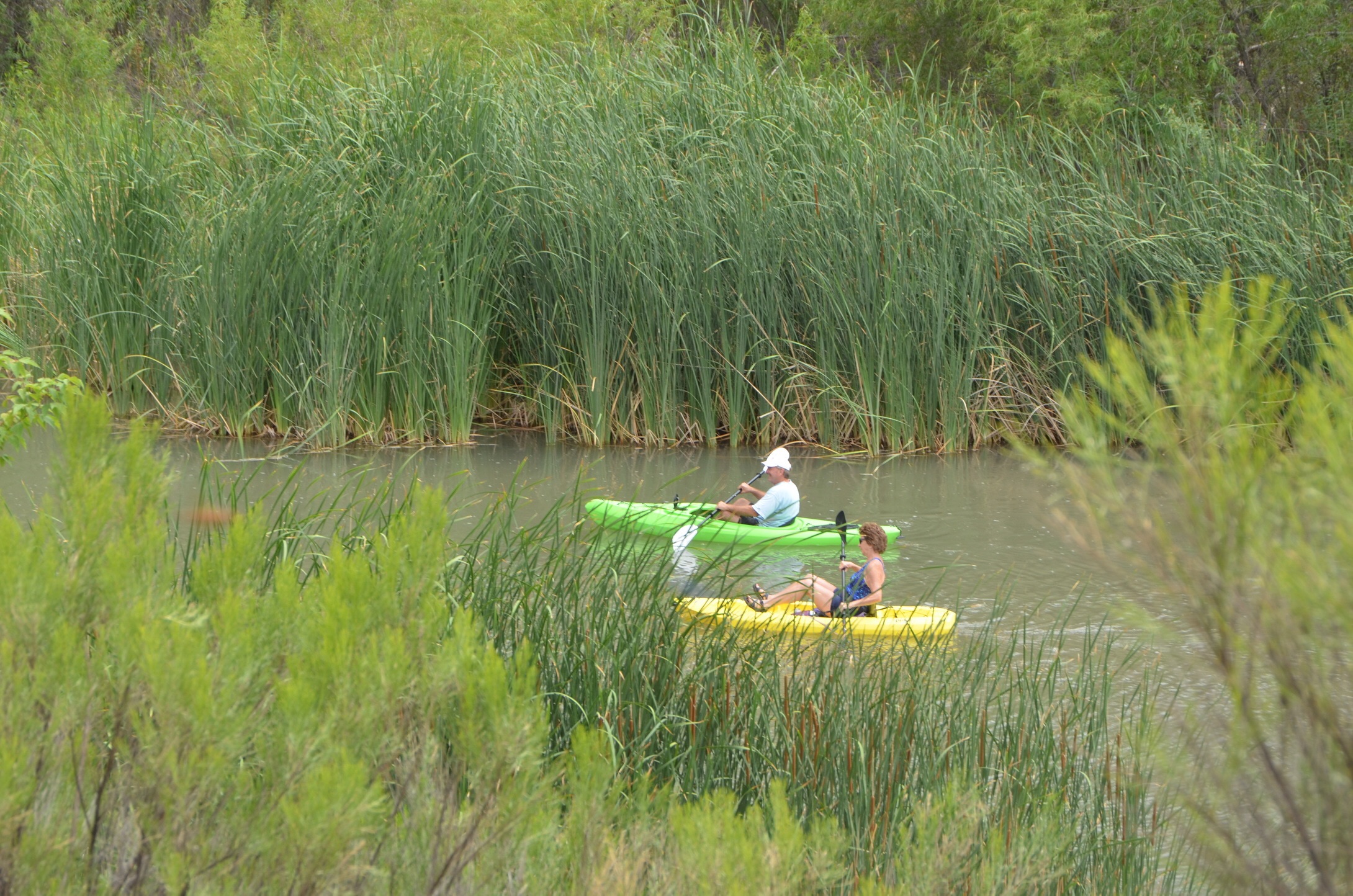 Kayaking Along the Verde River 1570070