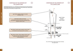 double page spread 2.jpg