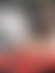 WWE New Year's Revolution 2006 DVD5