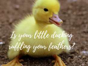Is your little duckling, ruffling your feathers? 