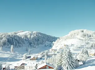 VALBERG.webp