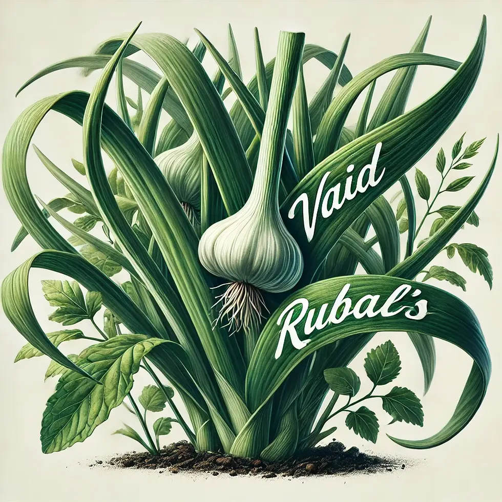 Green Garlic