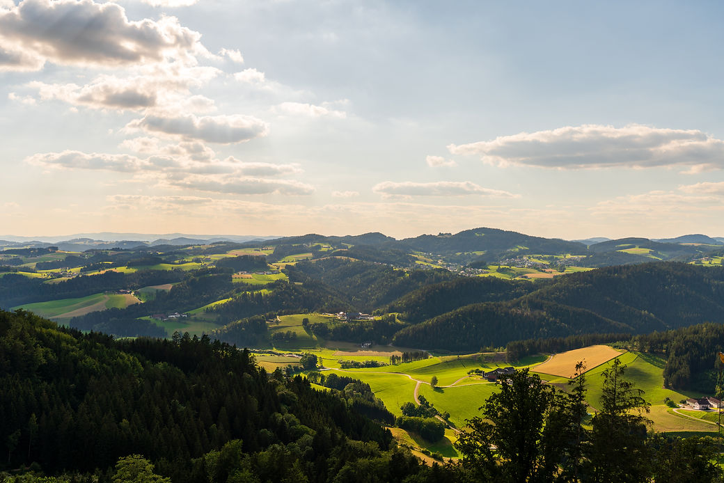 AdobeStock_362347615-2.jpeg