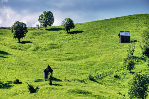 rolling hills.jpg