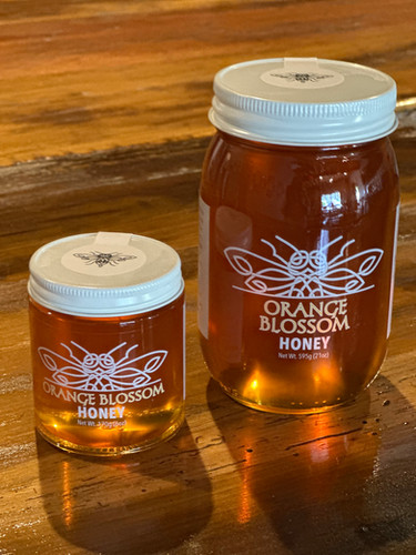 Orange Blossom Honey | Small 6oz - Large 21oz | Silver Hand Meadery