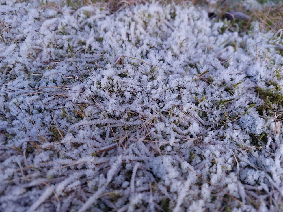 20240119_081505.jpg