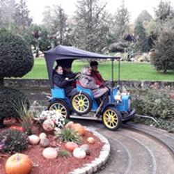 75456874_150615122960464_708224945446348