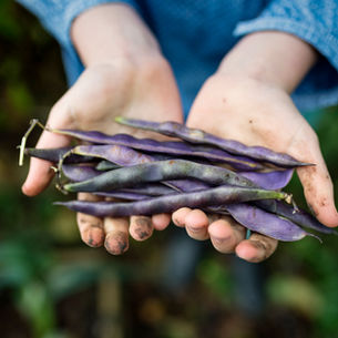 Garden Abundance Swap Sunday