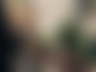 Volunteer work days every Saturday 10 AM to 12 Noon! Email us if you want to volunteer!