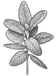 Illustration-2_edited.png