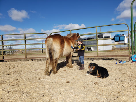 What is Horsemanship?