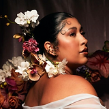 Screen Shot 2024-11-09 at 9.07.17 AM.png