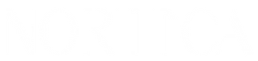 logo-NORTICA-braco-sem-funfo.png