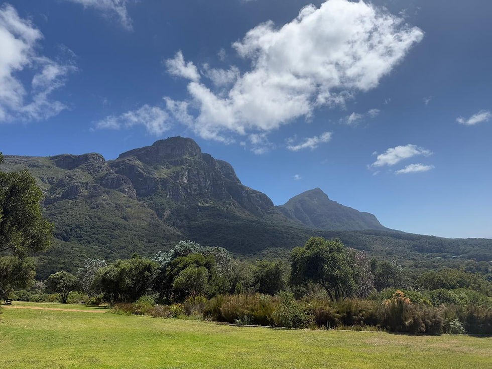 Table Mountain