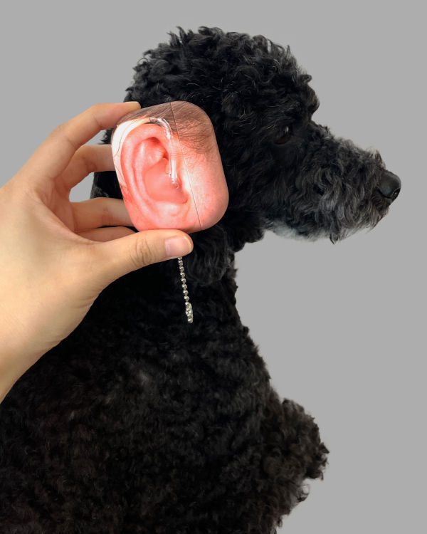 縮圖：[ Ear Airpods Case ]
