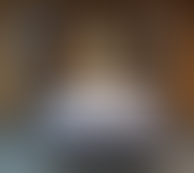 Murphy bed bookshelf