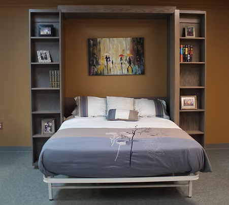 Murphy bed bookshelf